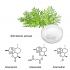 Artemisinin