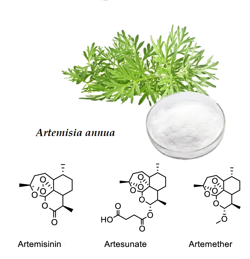 Artemisinin